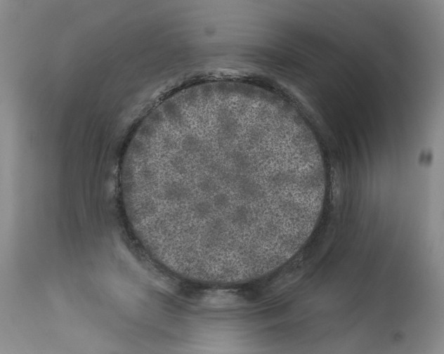 X0000112940451200910051159