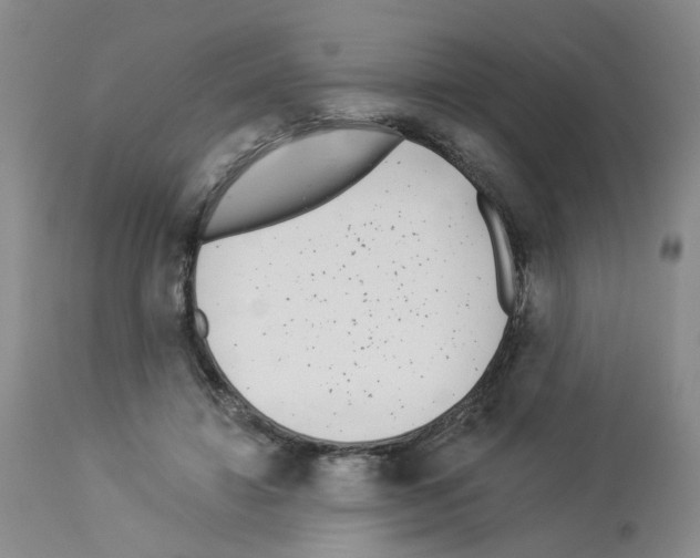 X0000112940452200910051159
