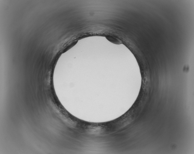 X0000112940454200910051159