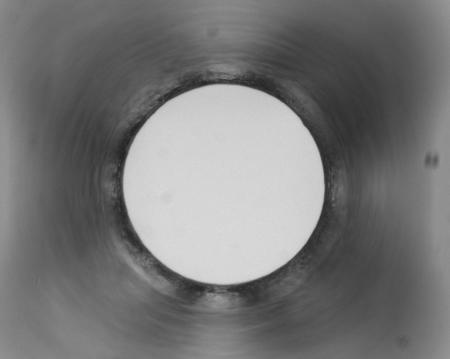 X0000112940455200910051159