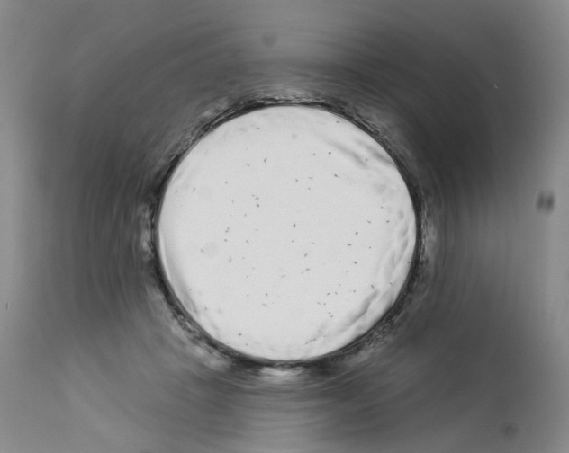 X0000112940457200910051200