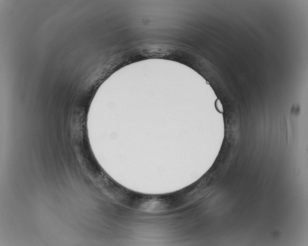 X0000112940460200910051200