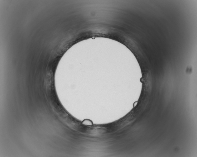 X0000112940463200910051200