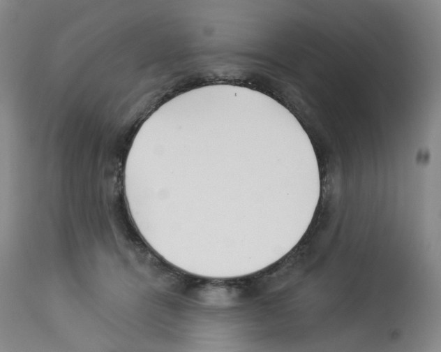 X0000112940464200910051200