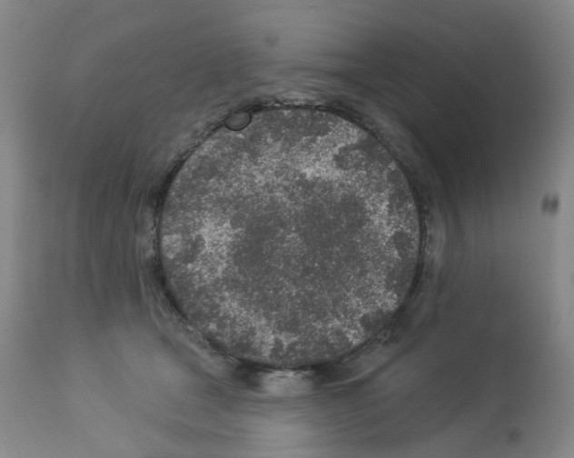 X0000112940465200910051200
