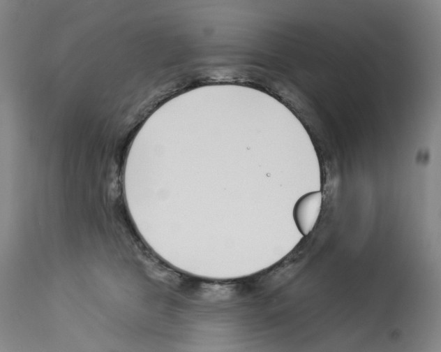 X0000112940469200910051200
