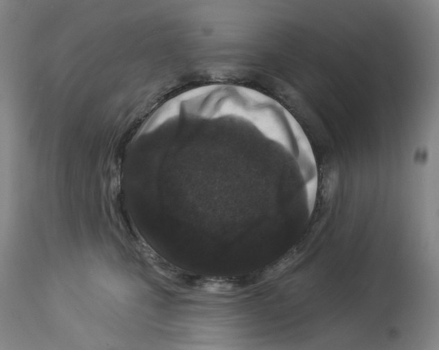 X0000112940471200910051200