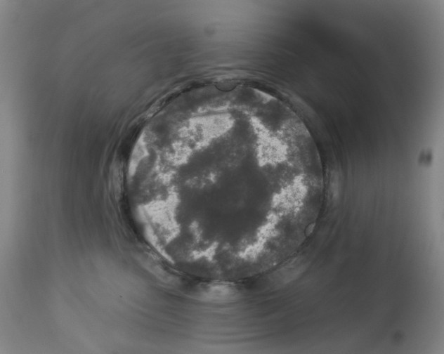 X0000112940475200910051200