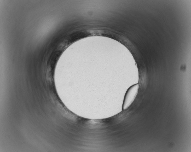 X0000112940477200910051200