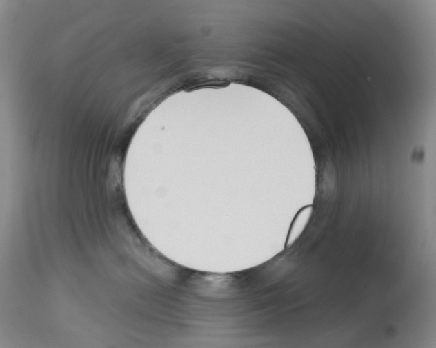 X0000112940478200910051200