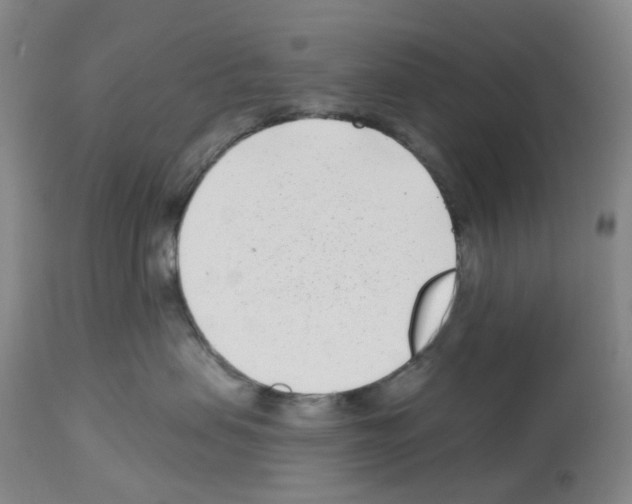 X0000112940479200910051200