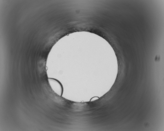 X0000112940480200910051200