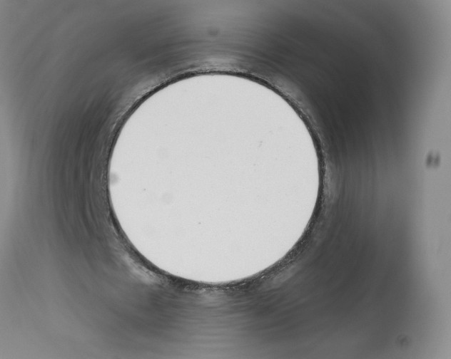 X0000112940481200910051159