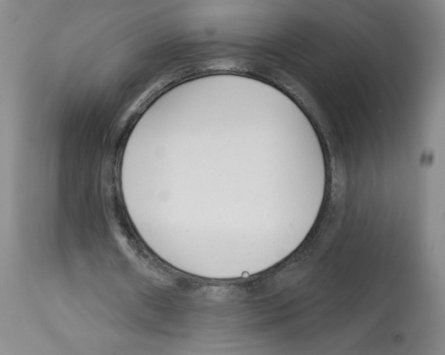 X0000112940482200910051159