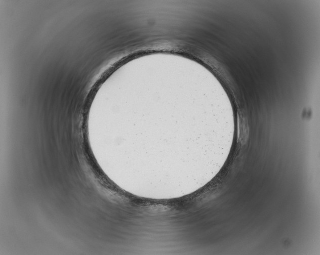 X0000112940483200910051159