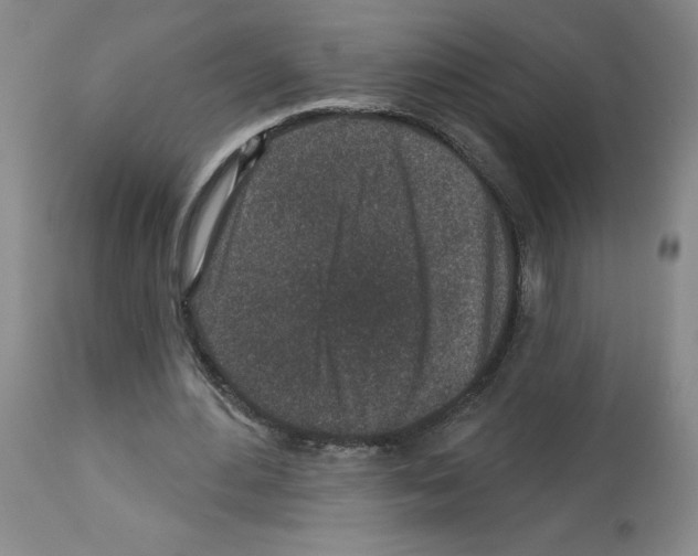 X0000112940484200910051159