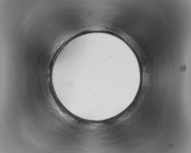 X0000112940485200910051159