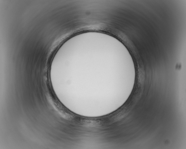 X0000112940486200910051159