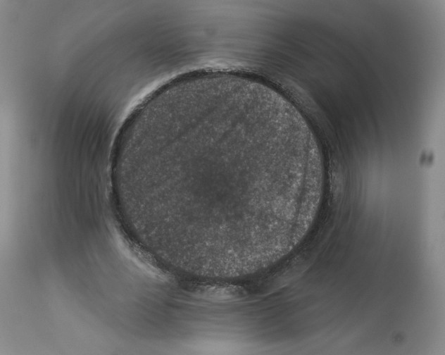 X0000112940488200910051159