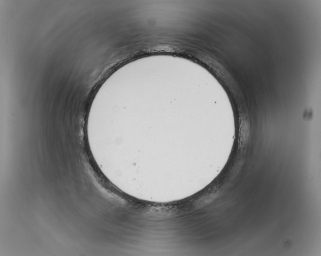 X0000112940489200910051159