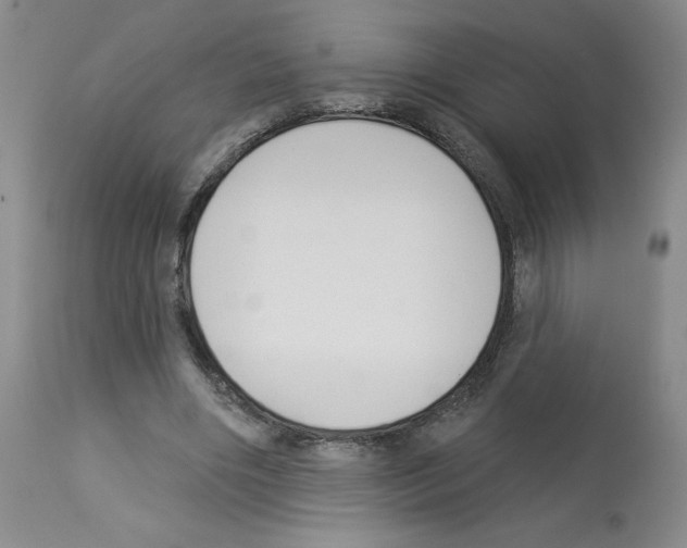 X0000112940490200910051159