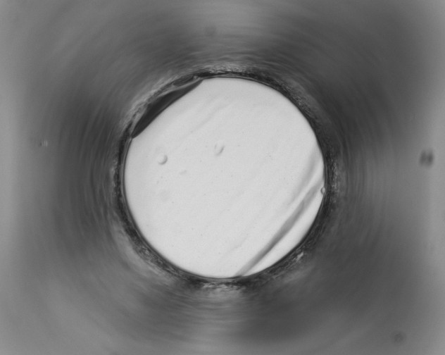 X0000112940491200910051159