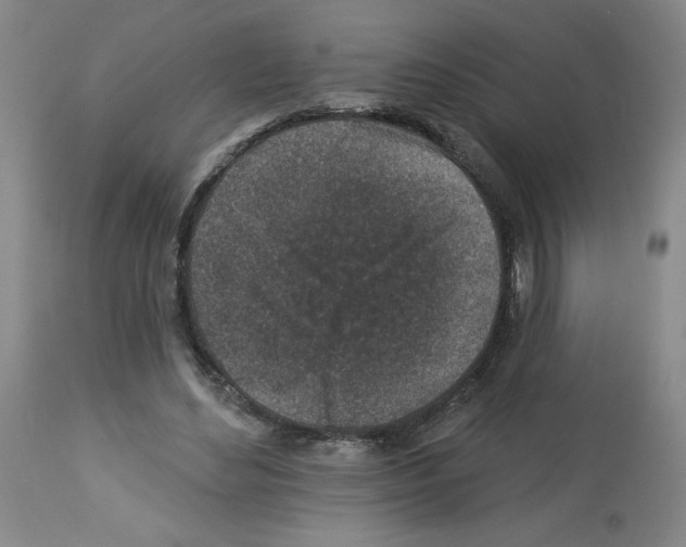 X0000112940492200910051159