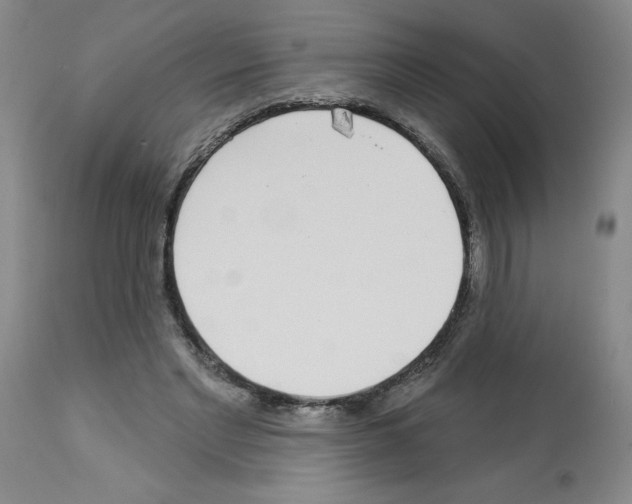 X0000112940493200910051159