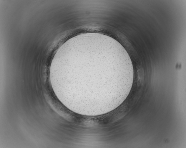 X0000112940494200910051159