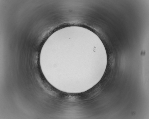 X0000112940495200910051159