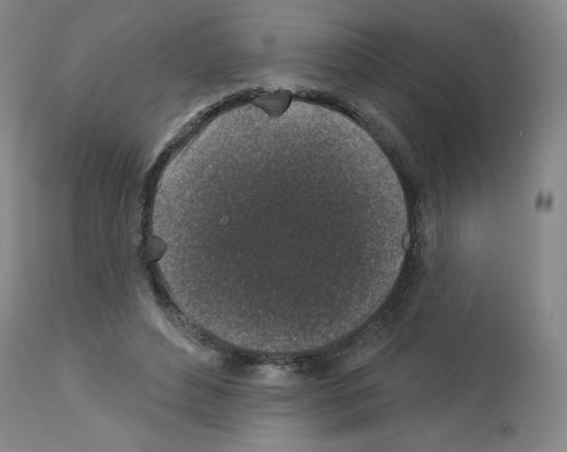 X0000112940496200910051159