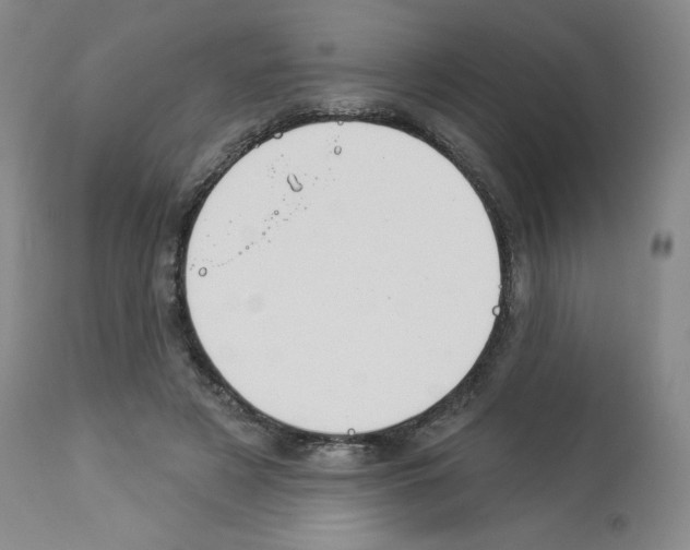 X0000112940497200910051159