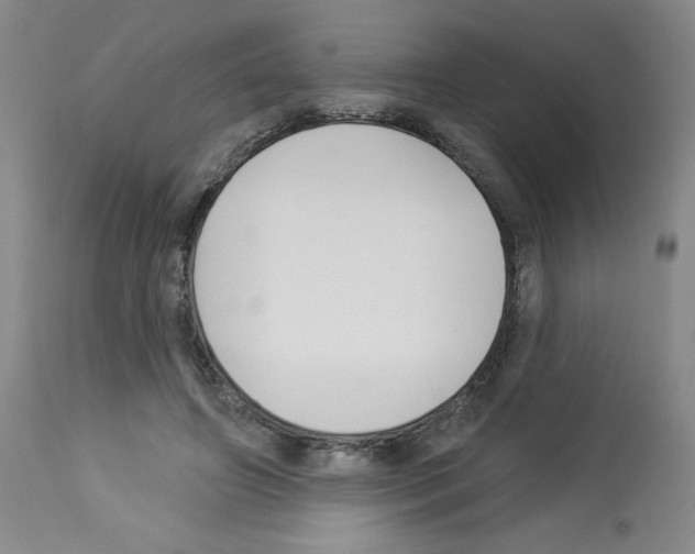 X0000112940498200910051159