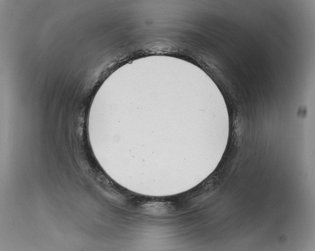 X0000112940499200910051159
