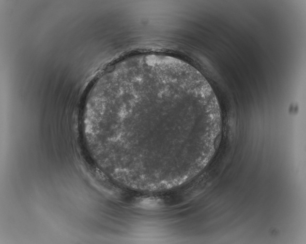 X0000112940500200910051159