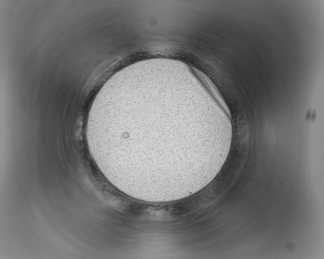 X0000112940502200910051159