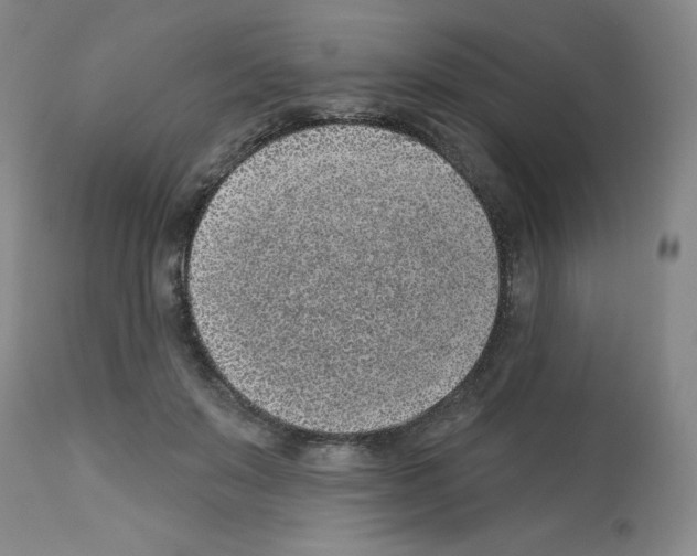 X0000112940503200910051159
