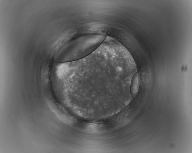X0000112940504200910051159
