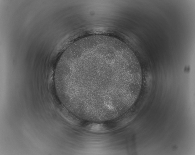 X0000112940507200910051159