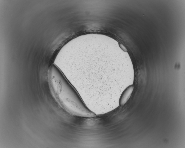 X0000112940508200910051159