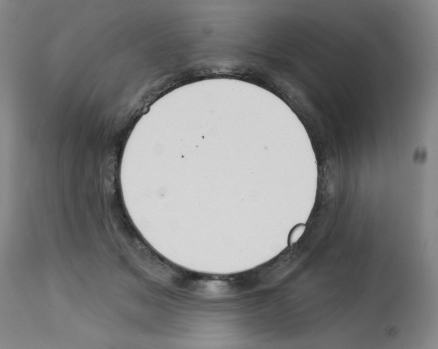 X0000112940509200910051159