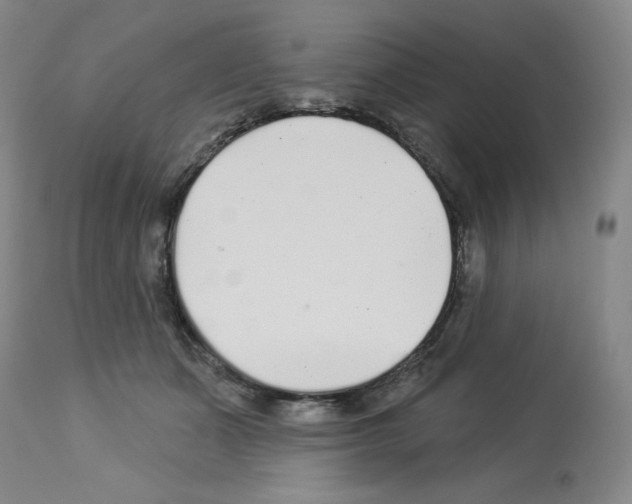X0000112940511200910051159