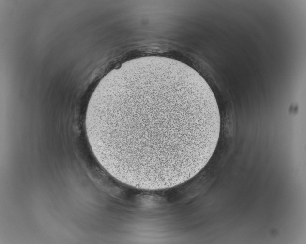 X0000112940512200910051159