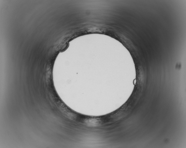 X0000112940513200910051159