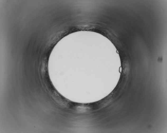 X0000112940515200910051159