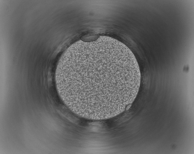 X0000112940516200910051159