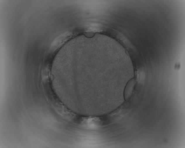X0000112940517200910051159