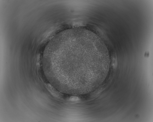 X0000112940519200910051159
