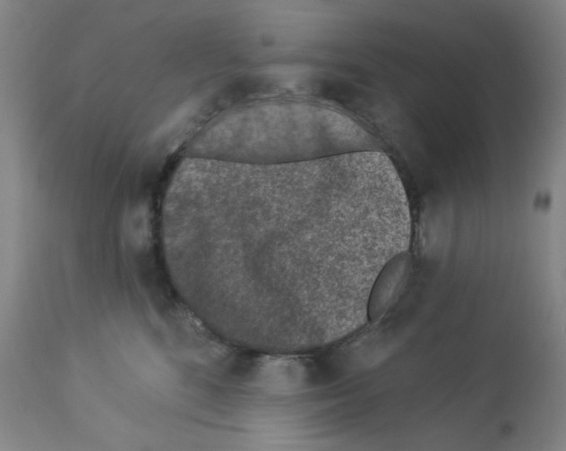 X0000112940520200910051159