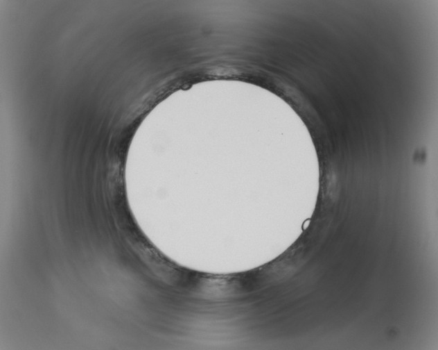 X0000112940521200910051159